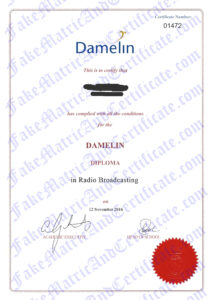 Diploma - Damelin
