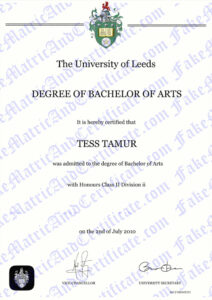 Degree - The University of Leeds