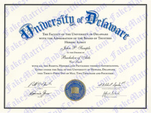 Degree - University of Delaware